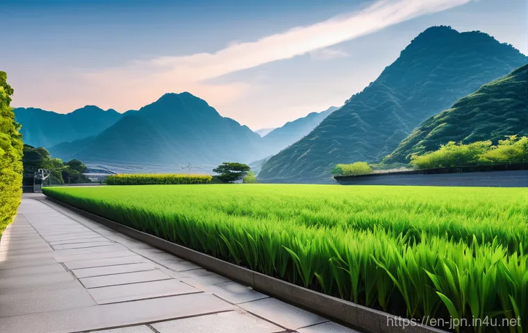 JLPT 성적표를 활용한 경력 기술 방법 관련 이미지 1